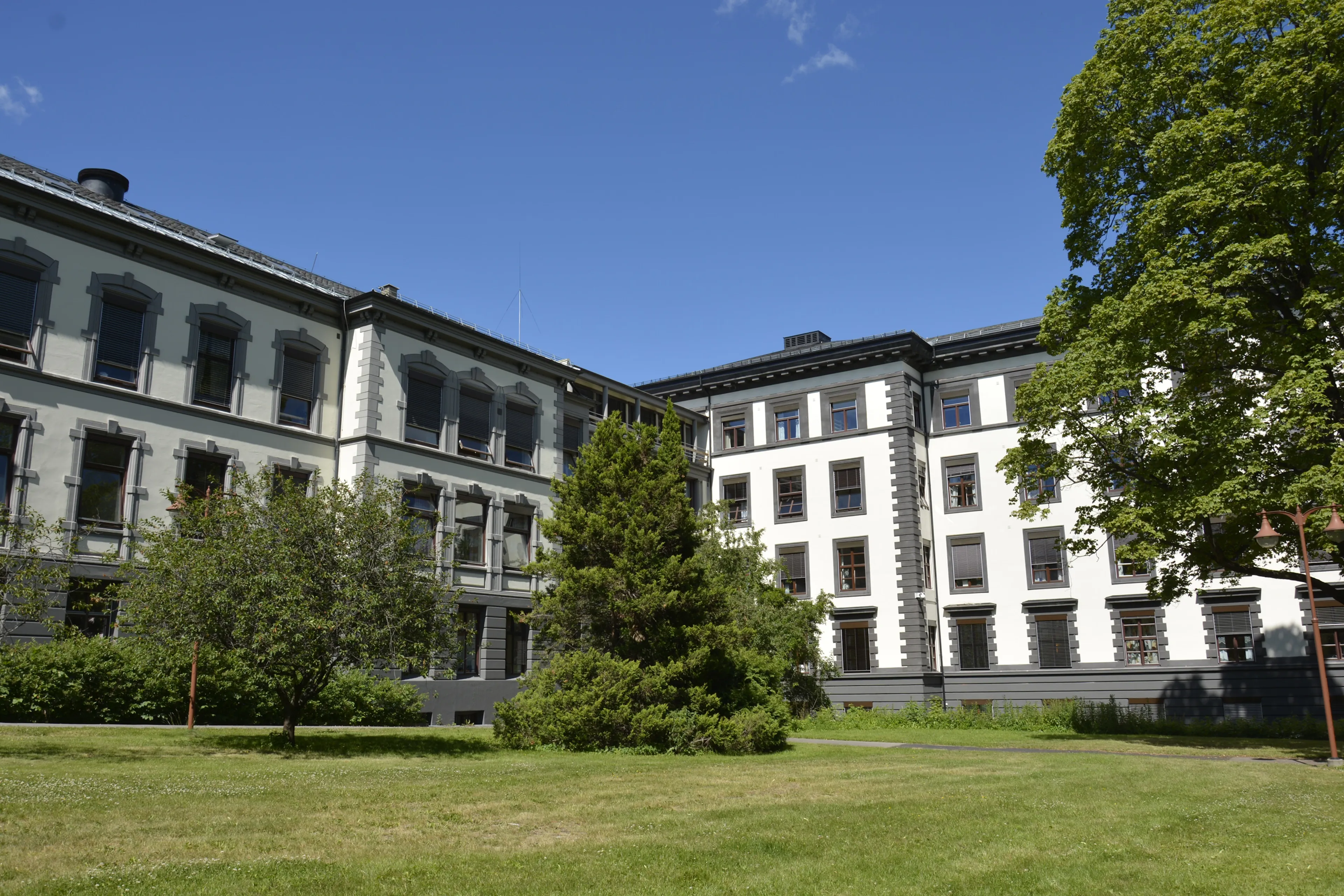 En bygning med trær foran